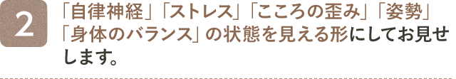 2. 「自律神経」「ストレス」「こころの歪み」「姿勢」「身体のバランス」の状態を見える形にしてお見せします。
